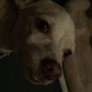 Meet your Posher, Araceli